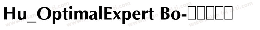 Hu_OptimalExpert Bo字体转换
